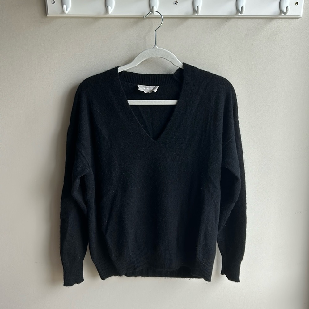 Everlane 100% Cashmere Sweater